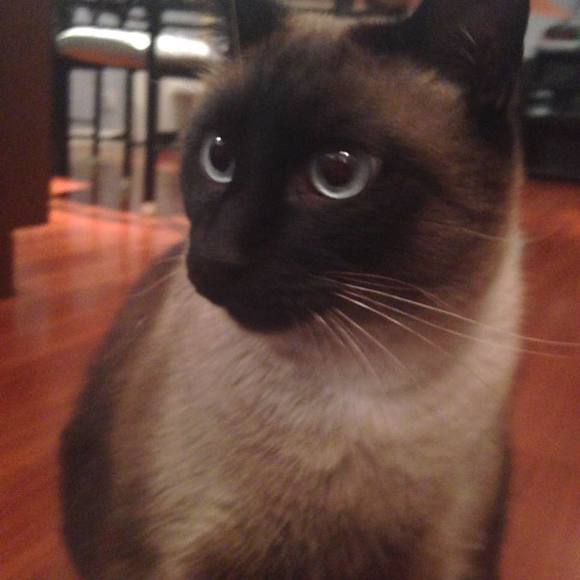 Meet your Posher, Joseph - Picture 1 of 1